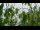 Webcam in Melle, 20.4 km