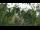 Webcam in Melle, 10.4 mi away