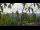 Webcam in Melle, 8.1 mi away