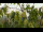 Webcam in Melle, 21.9 km