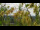 Webcam in Melle, 9.2 mi away