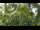 Webcam in Melle, 1 km