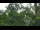 Webcam in Melle, 9.4 mi away