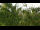 Webcam in Melle, 12.1 mi away