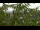 Webcam in Melle, 1 km entfernt