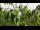 Webcam in Melle, 8.1 mi away