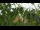 Webcam in Melle, 24.4 km