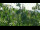 Webcam in Melle, 0.4 mi away