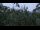 Webcam in Melle, 16.6 km