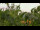 Webcam in Melle, 13.3 mi away