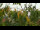 Webcam in Melle, 9.4 mi away