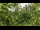 Webcam in Melle, 15.3 mi away