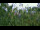 Webcam in Melle, 7.2 mi away