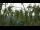 Webcam in Melle, 39.9 km