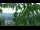 Webcam in Melle, 9.4 mi away