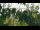 Webcam in Melle, 9.4 mi away