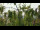 Webcam in Melle, 10.4 mi away