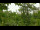 Webcam in Melle, 32.8 km