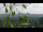 Webcam in Melle, 35.4 km