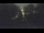 Webcam in Bad Zwischenahn, 37.6 km