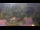 Webcam in Bad Zwischenahn, 16.3 mi away