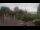 Webcam in Bad Zwischenahn, 0.6 km entfernt