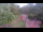 Webcam in Bad Zwischenahn, 27.8 km