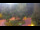 Webcam in Bad Zwischenahn, 36.8 km entfernt