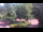 Webcam in Bad Zwischenahn, 37.7 km