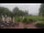 Webcam in Bad Zwischenahn, 15.1 km