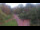 Webcam in Bad Zwischenahn, 14.4 km