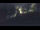 Webcam in Bad Zwischenahn, 37.6 km