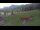 Webcam in Oberjoch, 3.1 mi away