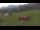 Webcam in Oberjoch, 3.1 mi away