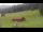 Webcam in Oberjoch, 3.2 km