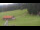 Webcam in Oberjoch, 3 mi away