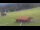 Webcam in Oberjoch, 3.1 mi away