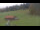 Webcam in Oberjoch, 3.2 km