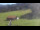 Webcam in Oberjoch, 8.9 km