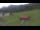 Webcam in Oberjoch, 3.1 mi away