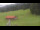 Webcam in Oberjoch, 3.2 km