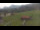 Webcam in Oberjoch, 3.3 km