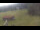 Webcam in Oberjoch, 2.4 km