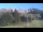 Webcam in Oberjoch, 7.7 km entfernt