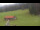 Webcam in Oberjoch, 3.2 km