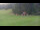 Webcam in Oberjoch, 3.2 km
