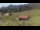 Webcam in Oberjoch, 2.9 mi away