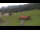 Webcam in Oberjoch, 1.2 mi away
