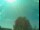 Webcam in Emden, 9 km