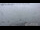 Webcam in Oppenau, 23.1 km